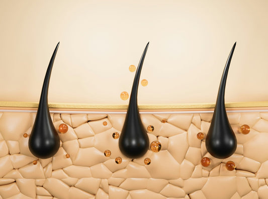 Illustration of hair follicles representing low-level laser therapy for male pattern hair loss