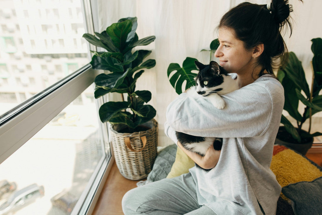 A woman in a grey sweatshirt holding a black and white cat by a window trying to make her home hers again after breakup