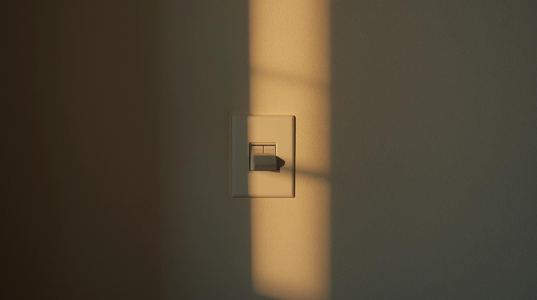 Light switch partially illuminated by natural window light, symbolizing emotional unpredictability and intermittent reinforcement in a relationship