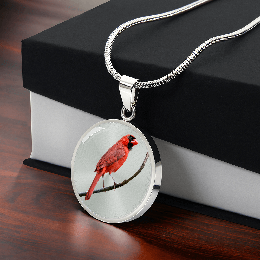 Silver-colored Northern Cardinal pendant necklace featuring lifelike red bird portrait artwork and gift box