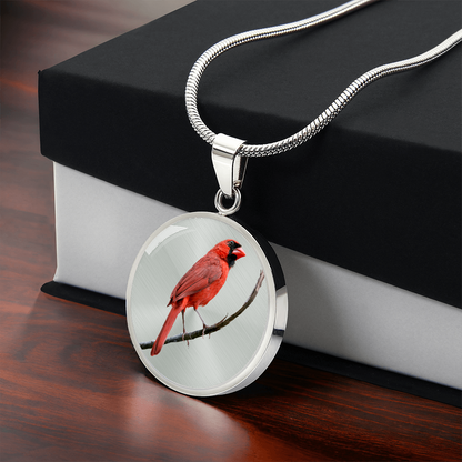 Silver-colored Northern Cardinal pendant necklace featuring lifelike red bird portrait artwork and gift box